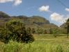 2461 Niumalu Rd
 LIHUE HI 96766