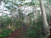 4576 Kuli Rd
 KALAHEO HI 96741