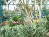 1661 Pee Rd
 KOLOA HI 96756