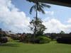 3880 Wyllie Rd
 PRINCEVILLE HI 96722